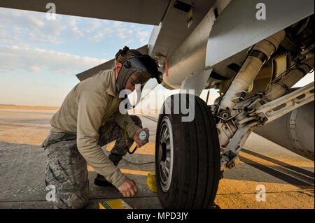 Stati Uniti Air Force aviatori di prima classe Shawna Bucher, F-16 capo equipaggio assegnati per il centottantesimo Fighter Wing, Ohio Air National Guard, che garantisce la corretta pressione degli pneumatici su di un F-16 Fighting Falcon durante un esercizio a MacDill Air Force Base a Tampa, in Florida il 2 febbraio, 2017. Il centottantesimo hanno portato i loro F-16s e circa 150 i manutentori, i piloti e gli specialisti di operazioni a MacDill AFB per due settimane di esercizio che incluso basic fighter manovre contro F-18 calabroni dal Canadian 425th Tactical Fighter Squadron, affilatura di combattere le funzionalità di OANG avieri. (Aria Foto Stock
