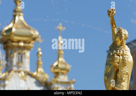 Peterhof, San Pietroburgo, Russia - 10 Maggio 2018: Golden Statue della grande cascata. La cascata è stata costruita nel 1715-1724 ed è uno dei notevoli Foto Stock