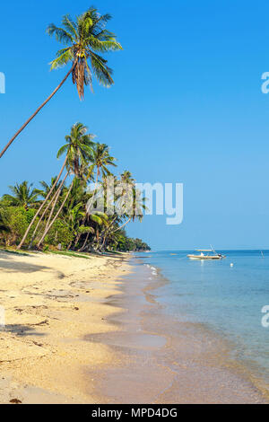 Mattina di sole su Bang Po beach. Koh Samui. Thailandia. Foto Stock