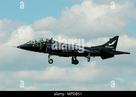 Royal Navy BAe Harrier T8. Utilizzato per addestrare i Sea Harrier piloti in British Fleet Air Arm. ZD990. VTOL jump jet di 899 Squadrone con spedito pugno flash di coda Foto Stock