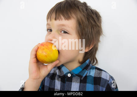 Ragazzo del volto in blu plaid shirt mordere rosso Apple giallo su sfondo bianco Foto Stock