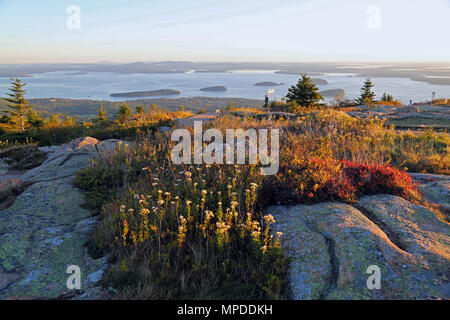 Mattina sulla Cadillac Mountain, Maine Foto Stock