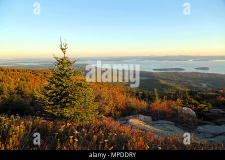 Mattina sulla Cadillac Mountain, Maine Foto Stock