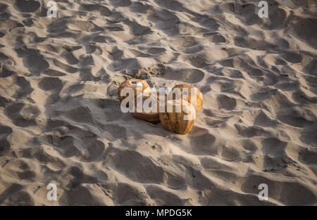 Noci di cocco vuoto lasciato sulla spiaggia dopo i turisti bevuto la loro acqua in Ecuador Foto Stock