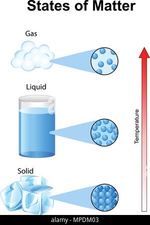 Fundamentals stati della materia con molekuler Illustrazione Vettoriale