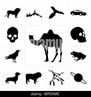 Set di 13 semplici icone modificabile come contorno del cammello su sfondo bianco, Saturno vischio sfondo può essere utilizzato per il mobile, l'interfaccia utente web Illustrazione Vettoriale