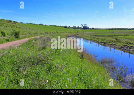 RSPB reserve St Aidan e distante Bucyrus Erie da 1150 a piedi escavatore dragline, noto come stravaganti, vicino a Leeds, West Yorkshire, Inghilterra, Regno Unito. Foto Stock