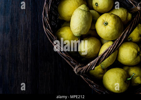 Limoni organico nel cestello da giardino. Alimenti biologici concetto. Foto Stock