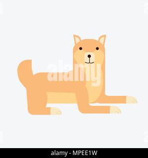Cartoon carino giapponese Shiba Inu vettore cane.Flat Shiba Inu cane ritratto con sfondo isolato Illustrazione Vettoriale
