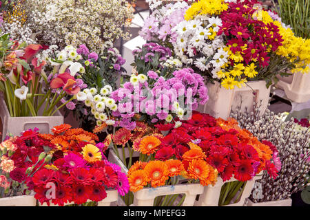 Fiori nel mercato Foto Stock