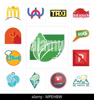 Set di 13 semplici icone modificabile come stevia, moutain, pino, montoni, neurochirurgia, nessun parcheggio, chef, mms, psi può essere utilizzato per il mobile, l'interfaccia utente web Illustrazione Vettoriale