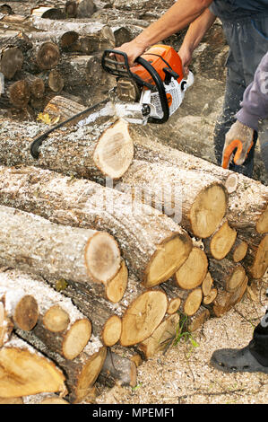 Lumberjack taglia il tronco con una sega a nastro Foto Stock