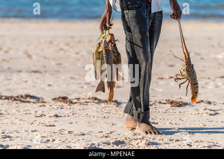 Un file .pescatore locale contiene alcuni freshy pesce pescato in Mozambico. Foto Stock