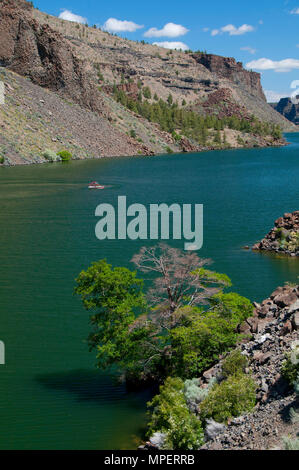 Il lago di Billy Chinook, Cove stato Palisades Park, Oregon Foto Stock