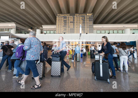 Aeroporto di Roma Fiumicino, passeggeri della scena interna a piedi con bagagli Foto Stock