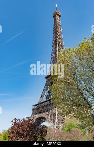 Guardando verso l'alto la Torre Eiffel con molla fogliame in primo piano. Foto Stock