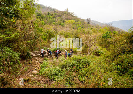 La molla vicino al vecchio albero di mango a abbandonata) Percorrere villaggio sulle colline di Kumaon. Jim Corbett di cui a questo luogo nel suo libro Maneaters del Kumaon, India Foto Stock