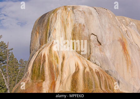 Arancione tumulo a molla in alto a terrazze del Parco Nazionale di Yellowstone Foto Stock