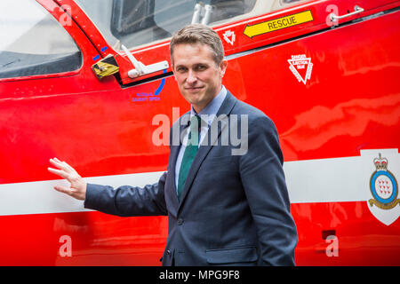 Londra, Regno Unito. 23 maggio 2018. Gavin Williamson, Segretario di Stato per la difesa di fronte il falco in Downing Street come parte di teh RAF 100 eventi. Credito: Guy Bell/Alamy Live News Foto Stock