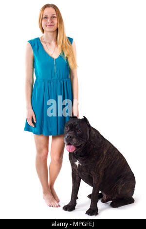 Ragazza in un abito blu in piedi accanto ad un grosso cane Cane Corso. isolare Foto Stock