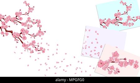 Rami con fiori di colore rosa e boccioli di ciliegio. Sakura. I petali volare nel vento su bianco e sfondi colorati. illustrazione Illustrazione Vettoriale