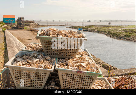 L'ostrica di capanne di Saint-Trojan-les-Bains sull'Île d'Oléron, Francia. Molti di loro sono stati convertiti in spazio gallery. Foto Stock