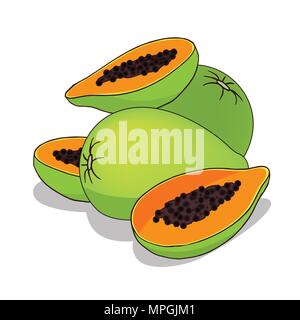 Isolare il Papaya frutto su sfondo bianco. Close up clipart con ombra in flat realistici in stile cartone animato. Disegnata a mano icona Illustrazione Vettoriale