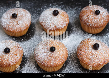 Muffin con ribes spolverati con zucchero a velo. Foto Stock