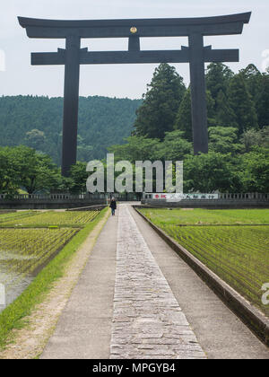 Otorii, grande torii gate nel mondo all'ingresso Oyunohara, la posizione originaria di Kumano Hongu Taisha il patrimonio mondiale santuario, Wakayama, Giappone Foto Stock