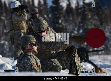 Paracadutisti assegnato cane Company, 3° Battaglione, 509a paracadute Reggimento di Fanteria, quarta brigata di fanteria combattere Team (airborne), XXV divisione di fanteria, U.S. Esercito Alaska, guarda i compagni soldati qualificarsi con M240B mitragliatrici e Mark 19 40mm granata mitragliatrici sulla gamma Grezelka a base comune Elmendorf-Richardson, Alaska, Feb 28, 2017. Stati Uniti Esercito Alaska è la casa dell'esercito pacifico solo airborne brigade combat team e mantiene il solo airborne rapida capacità di risposta entro il Pacifico Comando. (U.S. Air Force foto/Justin Connaher) Foto Stock