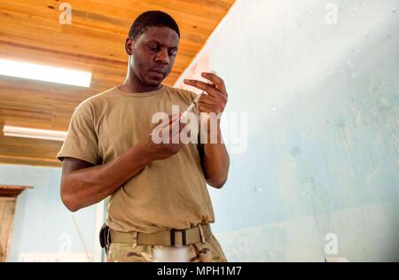 TRUJILLO, Honduras (feb. 24, 2017) - Esercito Sgt. Patric Berry, nativo di Columbus, Ga., assegnata alla sanità pubblica Activity-Fort Gordon, Ga., prepara un anestetico locale prima di un animale procedura di sterilizzazione a sostegno di continuare promessa 2017's (CP-17) visita a Trujillo, Honduras. CP-17 è un U.S. Comando sud-sponsorizzato e U.S. Forze Navali Comando meridionale/STATI UNITI 4a flotta-condotto di distribuzione condotta civile-militare comprendente le operazioni di assistenza umanitaria, impegni di formazione e medico, dentista e supporto di veterinari in uno sforzo per mostrare il supporto degli Stati Uniti e di impegno al centr Foto Stock