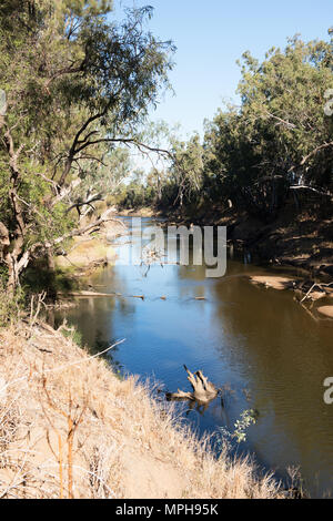 Fiume Macquarie, vicino a Warren, nel Nuovo Galles del Sud, Australia Foto Stock