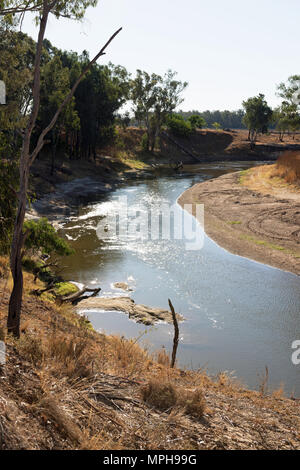 Fiume Macquarie, vicino a Warren, nel Nuovo Galles del Sud, Australia Foto Stock