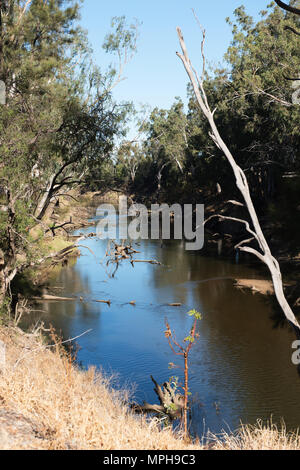 Fiume Macquarie, vicino a Warren, nel Nuovo Galles del Sud, Australia Foto Stock