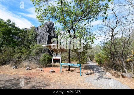 Percorso a piedi alla roccia di bilanciamento, una spettacolare affioramento di calcare in grotte Chillagoe-Mungana Parco Nazionale del Nord del Queensland, FNQ, QLD, Australia Foto Stock