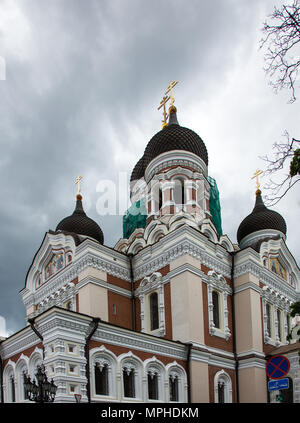 Tallinn - Estonia. La Cattedrale Alexander Nevsky. Alexander-Newski-Kathedrale. Foto Stock