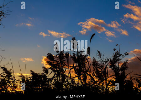 Colori d'autunno tramonto con raggi di sole colorare le nuvole Foto Stock