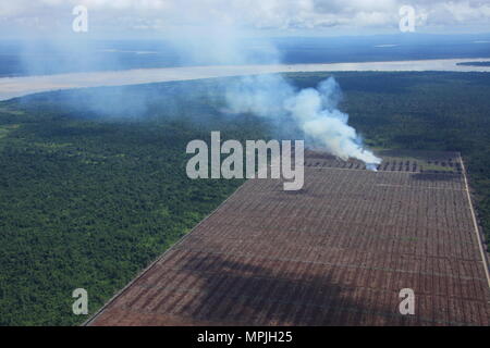 Riprese aeree di Sarawak - impatto umano sulla foresta pluviale - la deforestazione per colture Foto Stock