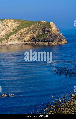 Vista su Lulworth Cove, parte della Jurassic Coast sito Patrimonio Mondiale nel Dorset, England, Regno Unito Foto Stock