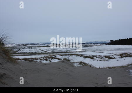 Congelati spiaggia norvegese Foto Stock