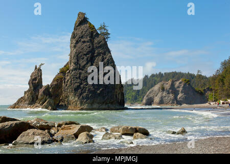 Rialto Beach, Olympic Costa, nello Stato di Washington, USA Foto Stock