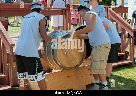 Carlton, Oregon, Stati Uniti d'America - 12 settembre 2015:i membri dell'equipaggio di schiacciare il dump di uva schiacciata dalla botte al Carlton annuale della frantumazione del Vino Vendemmia Fes Foto Stock