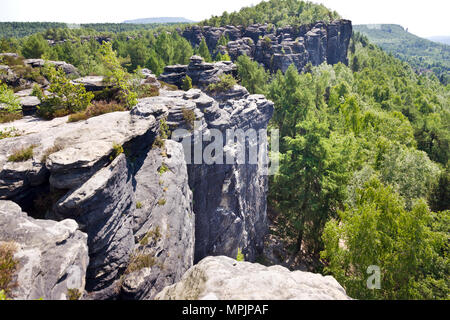 Tiské stěny, Labské pískovce, narodni park Ceske Svycarsko, Ceska republika / della Svizzera boema, Tisa città rocciose, pareti Tyssa, Boemia settentrionale, Czec Foto Stock