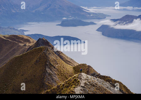 Picco Roys Nuova Zelanda - lago Wanaka Foto Stock