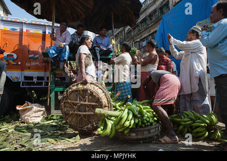 India Bengala Occidentale, Calcutta, Le banane sono messe all'asta presso i grossisti di frutta sul mercato. Foto Stock