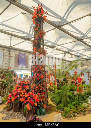 RHS Chelsea Flower Show 2017. Visitatori osservando le piante e i fiori in mostra del grande padiglione. Foto Stock