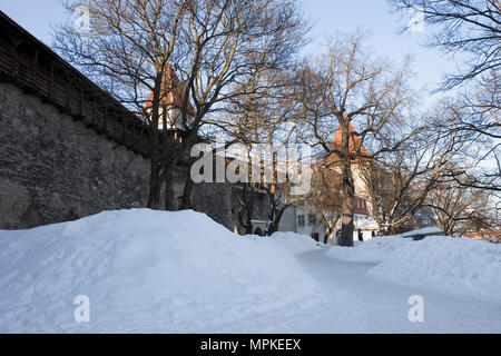 Taani Kuninga Aed: il Giardino del Re danese sulle pendici della Toompea (la collina della Cattedrale) con mura e torri: Tallinn, Estonia Foto Stock