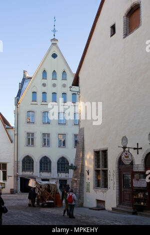 Vanaturu Kael, appena fuori dalla piazza della città (Raekoja plats), Tallinn, Estonia Foto Stock