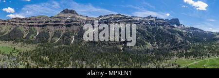 Foresta di Pini alla base delle Montagne Rocciose in Cody, Wyoming. Foto Stock