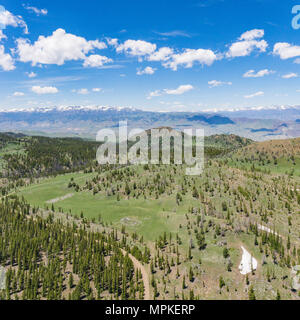 Alberi da bosco e prati nel vasto Montagne Rocciose del Wyoming in Nord America. Foto Stock